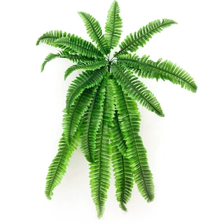 特大波斯仿真蕨类植物绿植墙面 草假的叶波斯草假树叶绿色大叶子
