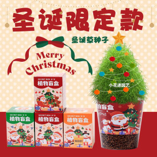 }Q}ֲäСWYdiyNֲСԄGֲ