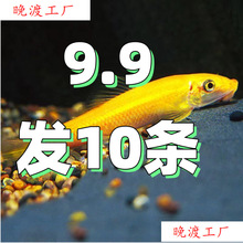 ������~��̦���~�����~�~���坍�����坍�����ͳ���̦������]