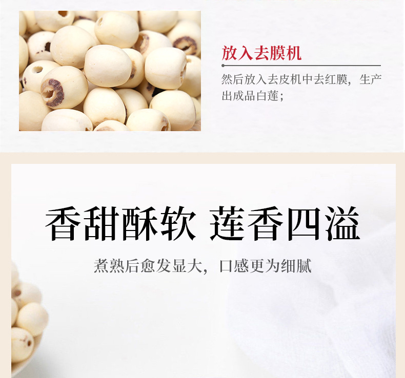 Dried White Lotus Seeds Lian Zi 500g Coreless Polished Skin Lotus Seed Kernels for Soup Congee and Desserts specifications
