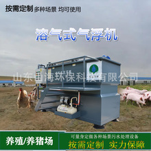 養豬/殖場氣浮式污水處理設備平流式溶氣氣浮機處理一體機