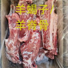 国产内蒙羊蝎子羊脊骨带骨羊肉冷冻商用家用餐饮食材批发红烧红焖