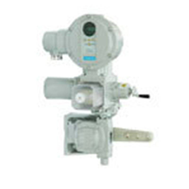 SURPASS 5 PROFITRON系列变频智能型拐臂式调节型角行程执行机构