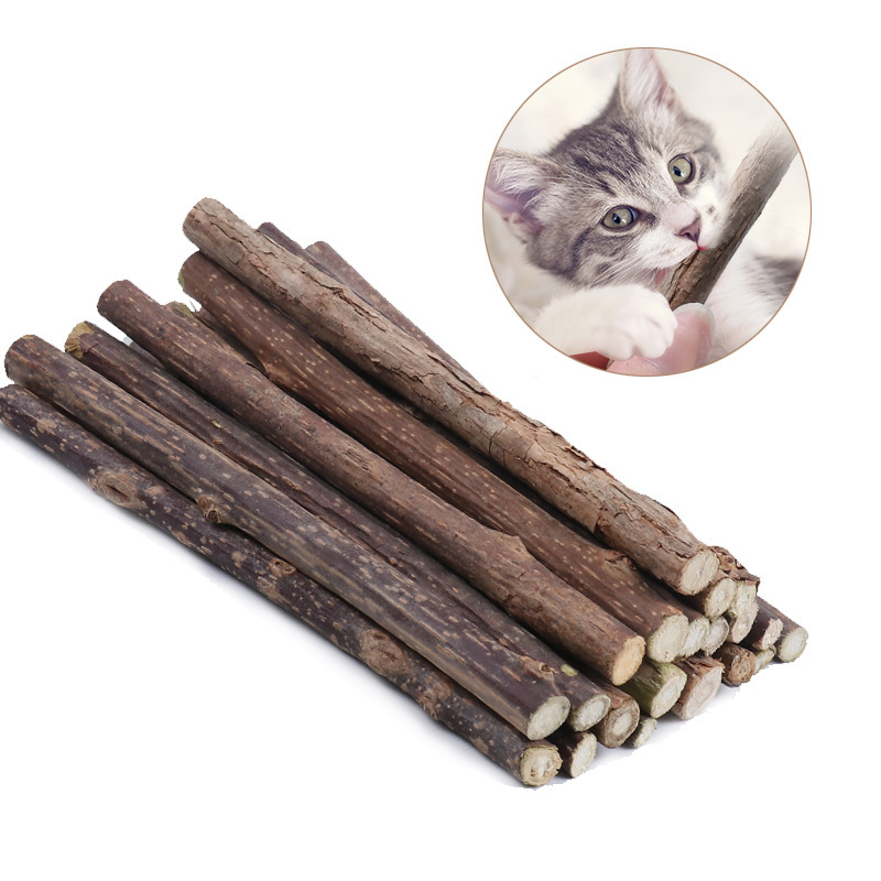 Cat Teething Sticks Wooden Polygonum Sticks Natural Cat Snacks Wooden Polygonum 5-Pack Cat Teething Sticks Cat Supplies Manufacturer Wholesale Cat Teething Sticks Wooden Polygonum Sticks Natural Cat Snacks Wooden Polygonum 5-Pack Cat Teething Sticks Cat Supplies Manufacturer Wholesale