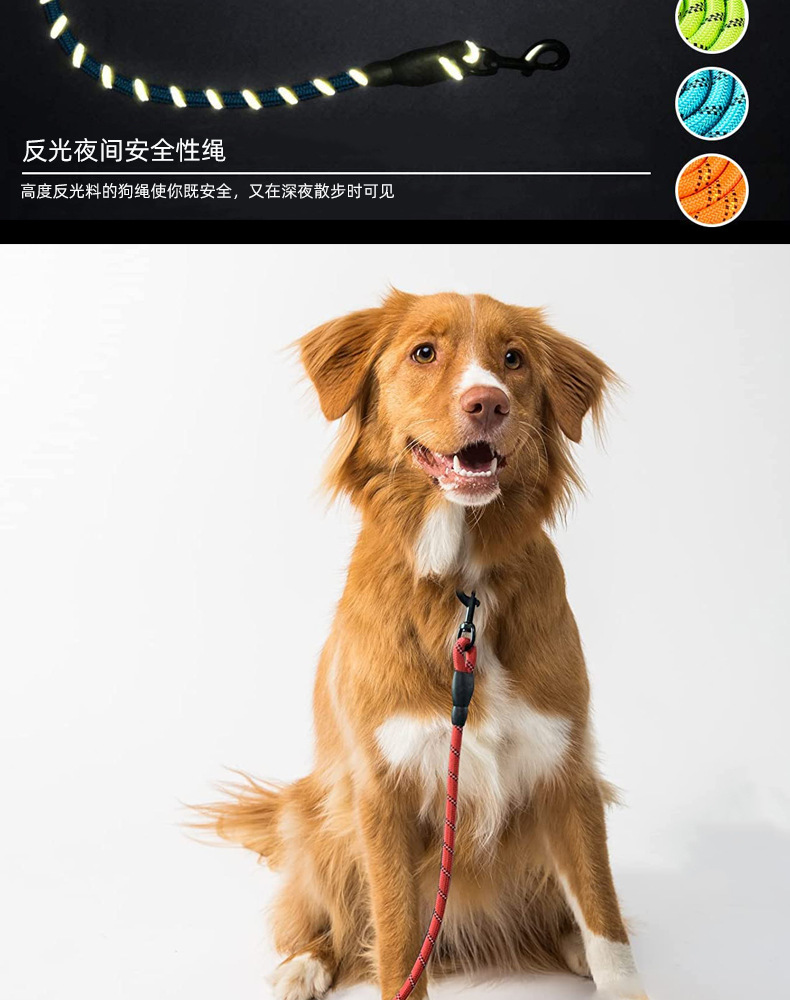 新宠物牵引绳详情_05.jpg