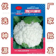 ѩ׻Ҭ˷Nӡ0.5ˡ80ɻяS߲˷Nl