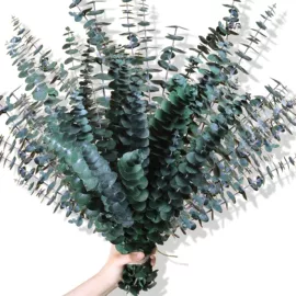 鲜花花艺制品;永生花;干花