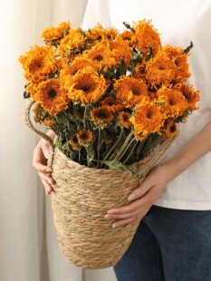 ���̩�����տ��ɻ������͏d�b[����������Ȼ�L���滨��ˇ�廨