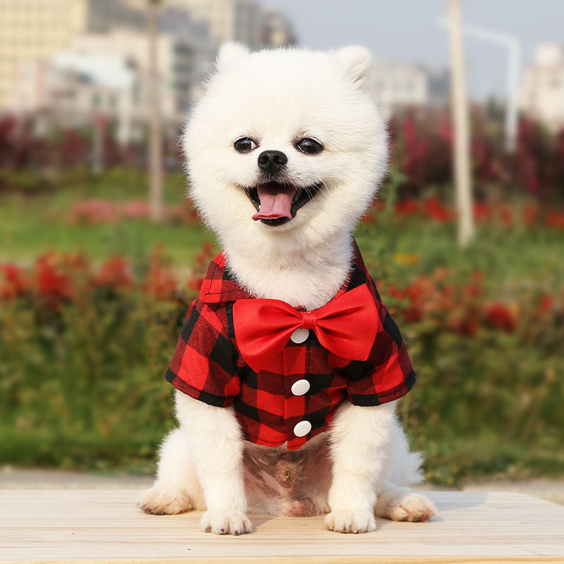 Casual Polyester Plaid Bow Knot Pet Toys display picture 5