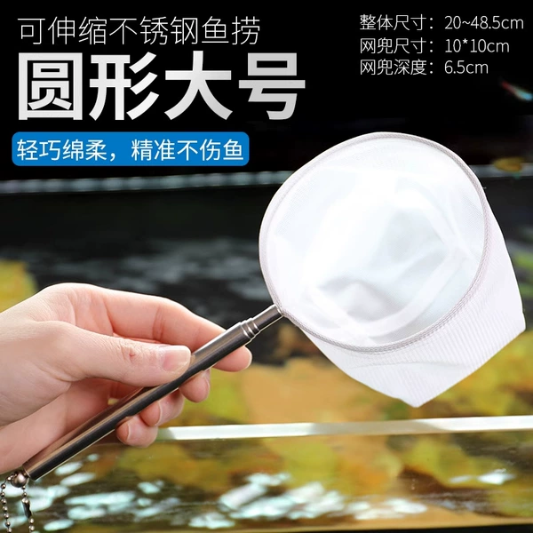 Stainless steel, big