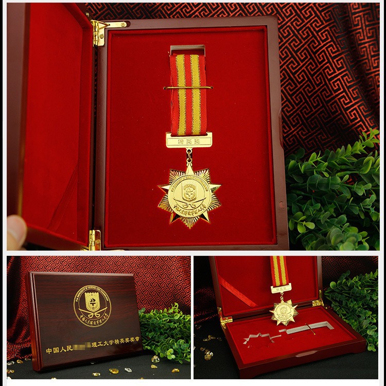 Insignia de metal personalizada Sello broche insignia moneda conmemorativa medalla de esmalte veterano personalizado image 3