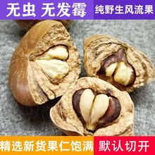 风流果野生果天竺粒广西果厚鳞柯100g500g泡酒煲汤料