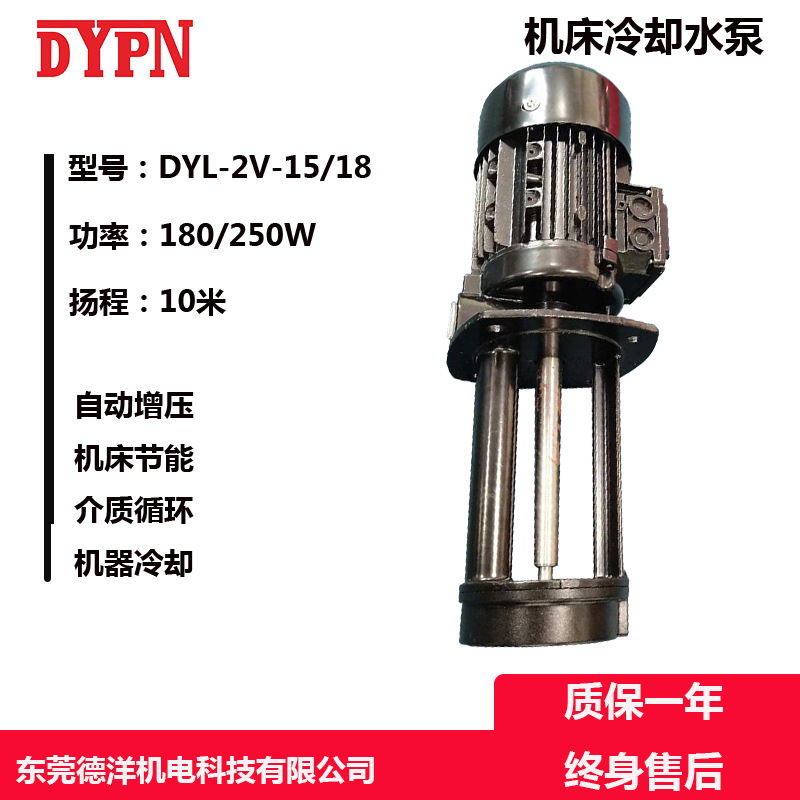 东莞DY工厂优惠定制DYL2V15小型立式单级浸入式离心循环泵CNC水泵