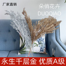 ǧ�ӽ�����ǧ�ӽ��ɫ��������ɫǧ�ӽ��yɫǧ�ӽ��^���b廨