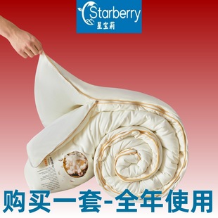 2025 Cotton Silkworm Cocoon Protein 2-in-1 Silk Quilt with Zipper - Available Year-Round Winter Quilt