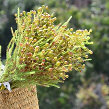 高品质仿真花　仿真蓝盆花　连翘相思豆手插花配花饰品搭配花艺