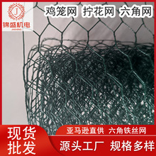 绿色六角网亚马逊专供铁丝网 鸡笼网养殖网绿色铁丝六边形防护网