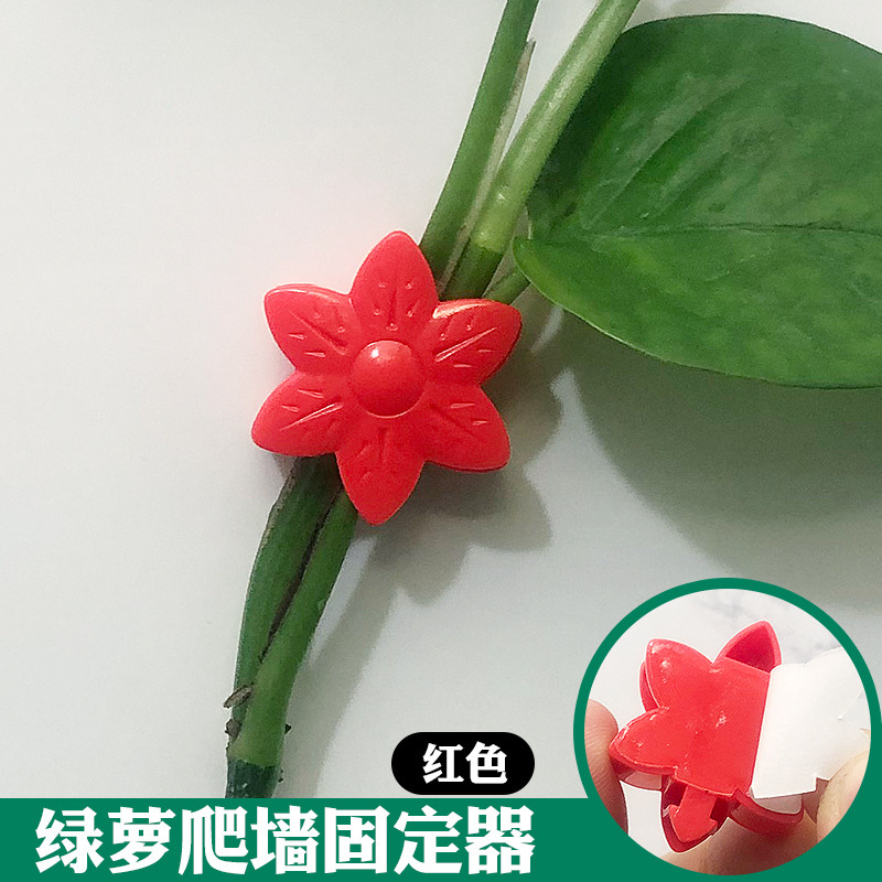 アマゾンの新型の花の緑のロロの固定器の痕跡がない家庭用のフックの掛け金の壁掛けのつるの植物のクリップ|undefined