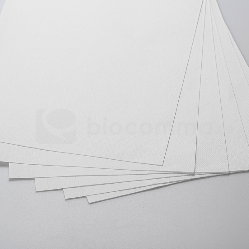 biocomma 逗点生物 硅胶膜 核酸吸附膜核酸提取纯化210mm*297mm