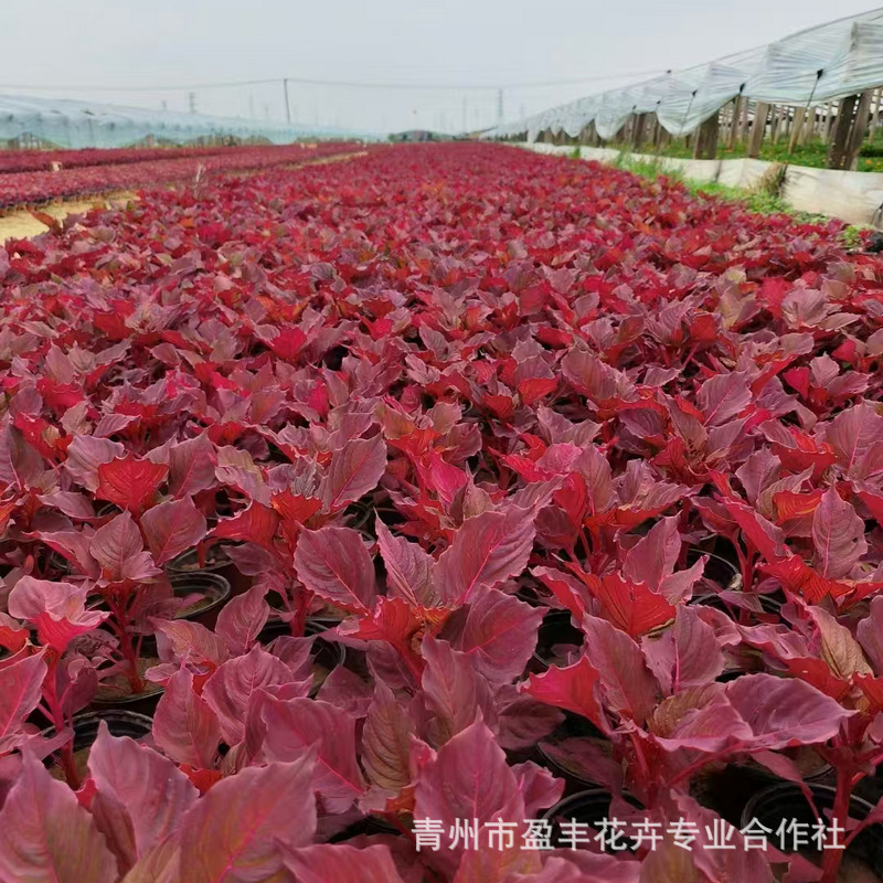 b1444e9c15fb38f52d63bdc4c7aff5