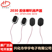 HYDZ�������2030��Ʒ��20*30mm8&Omega;1Wǻ���������Ž�������������
