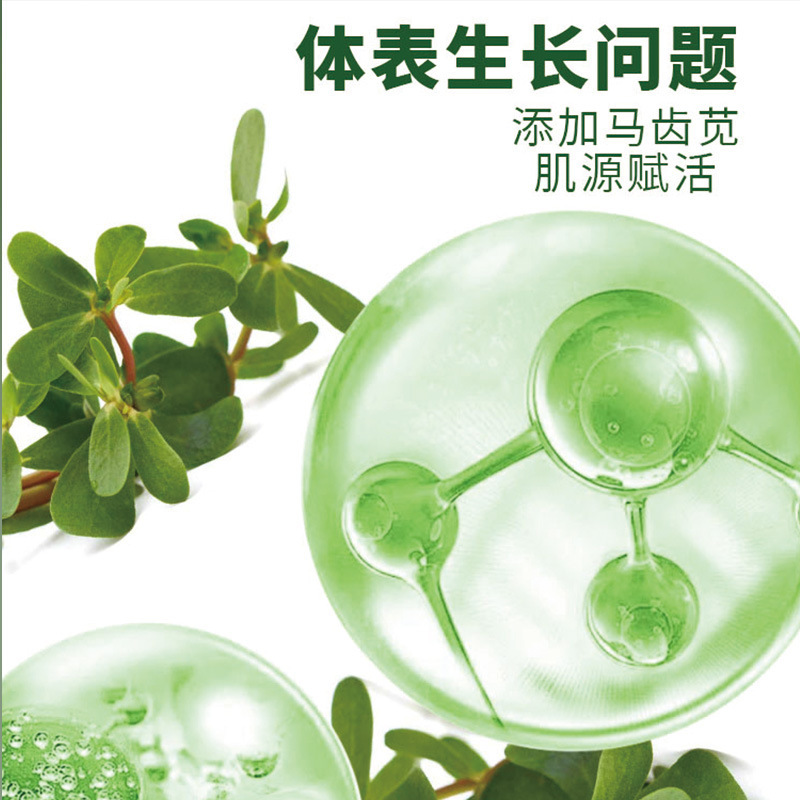 国药药材马齿笕双黄栀子片特殊膳食压片糖果现货速发|undefined