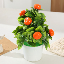 羳u ֲﱡ~СԼҾb[辰 Sl