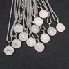 Sophisticated zodiac signs stainless steel, necklace, brand coins, pendant, European style