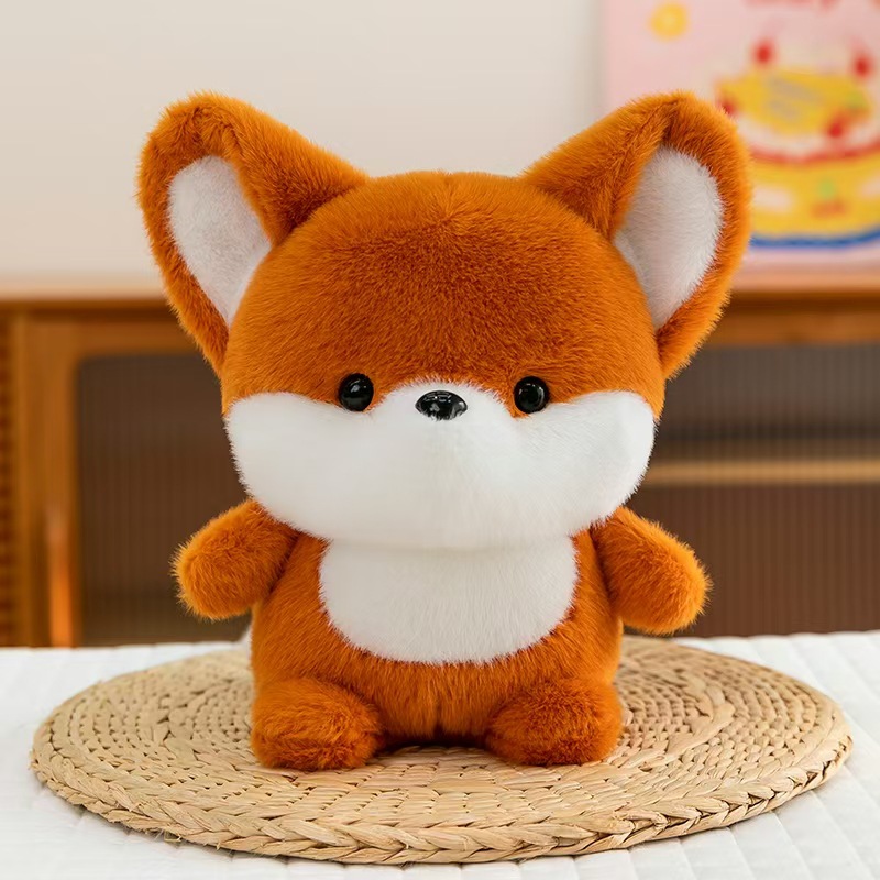 Cute fox