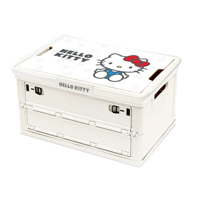 Storage Box Women's Outdoor – Car storage bag/box