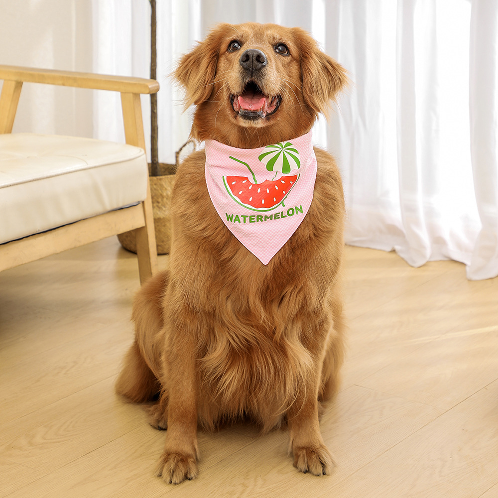 Tanpopo verano mascota bufanda perro triángulo toalla mascota saliva toalla perro bufanda perro saliva toalla perro