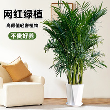 ���FҬ��1.5-1.8���҃ȴ��;Gֲ�����·������՚��Pβ���ļ�����