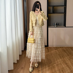 2025新款名媛跨境蝴蝶秀珠短外套女秋上衣+网纱蓬蓬蛋糕裙两件套