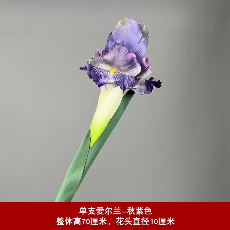 가을 보라색