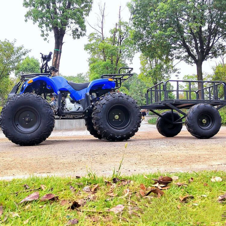 125CC грузовой автомобиль перевозка фермера горный транспорт внедорожное транспортное средство группа строительных работ обеспечивать перевозку
