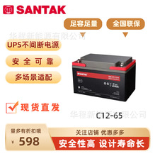 山特(SANTAK)城堡铅酸蓄电池C12-65AH 12V65AH阀控密封免维护电池