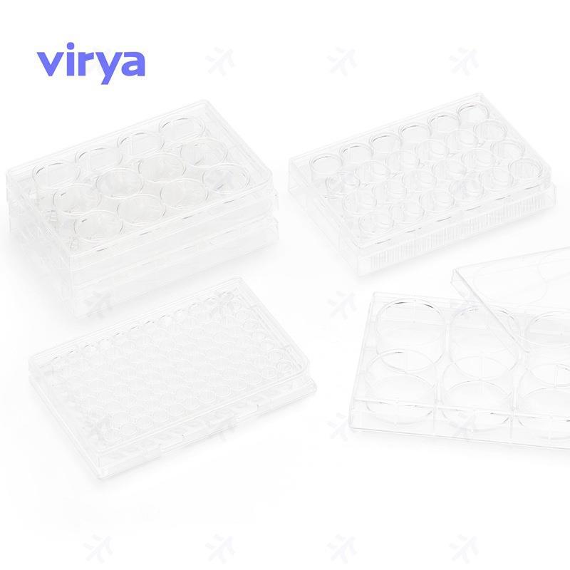 Virya  细胞培养板  等离子处理 24孔板,1个/袋，50袋/箱 3512409