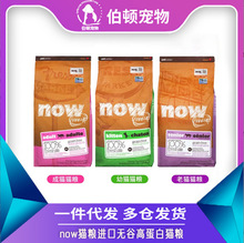 NOW幼猫 4磅 16磅  2025-10月临期产品  特价处理  一件代发