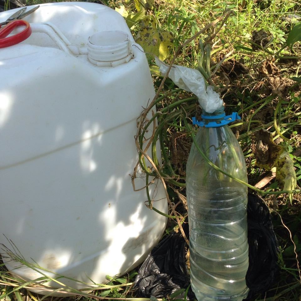 ��Ӧ˿����ȡҺ   ˿����ԭҺ������Ʒ��ɫ����ζ����������