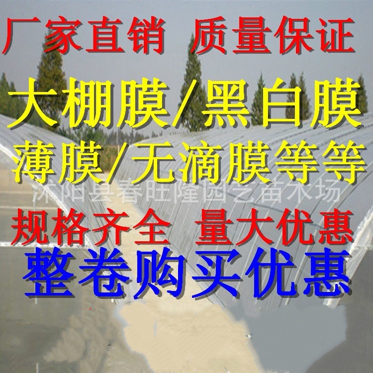 批发聚乙烯PE塑料薄膜大棚膜抗老化蓝色PO膜蓝色无滴膜全新黑白膜