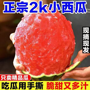 ɽ�|2k���Ϯ����ք���ƤС�����������rˮ��������С����