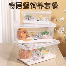 活物寄居蟹宠物饲养箱套装专用沙造景躲避屋水盆攀爬藤海盐螃蟹缸