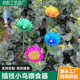 Cross-border supply of outdoor pastoral cast iron art bees butterfly drinkers bird pots garden decorative ornaments