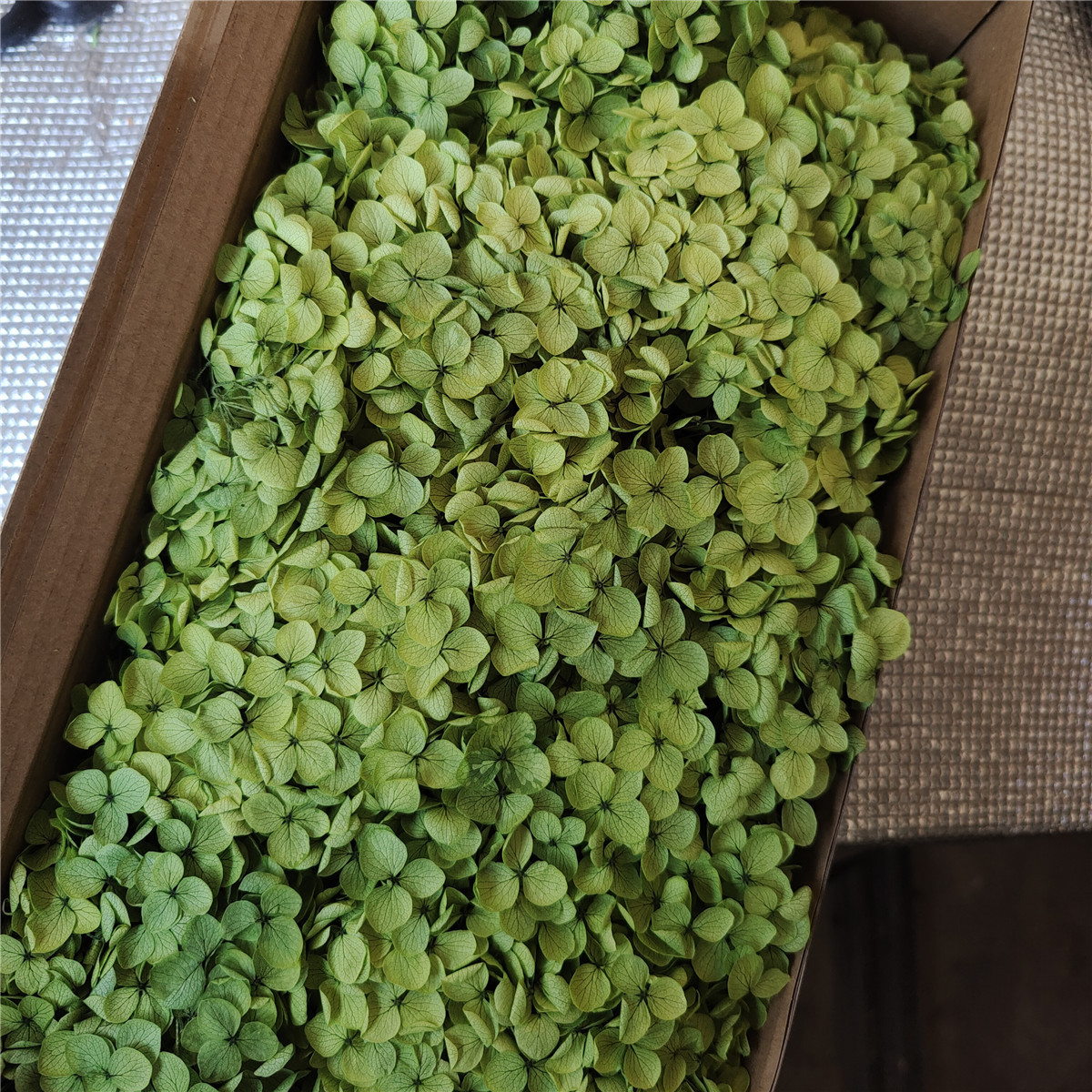 Flor eterna Hortensia Anna pequeña hoja flor seca flor real árbol de Navidad ventilador hecho a mano ramo DIY material paquete flor