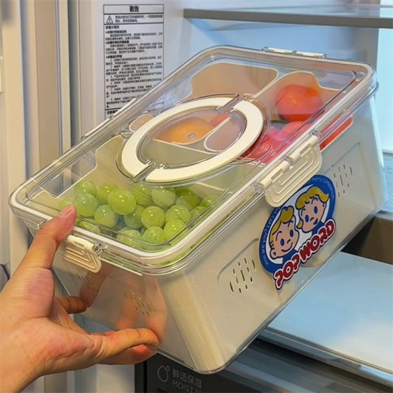 Harada fruit fresh-keeping box food-grade spring outing picnic sealed storage box portable food compartment storage box
