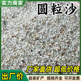 圆粒沙子儿童娱乐圆粒砂人造沙滩无尘海沙白沙子石子水洗小圆粒沙