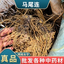 RβBș RβSB Rβɏ SBzRβɏ ɲ䱳ș