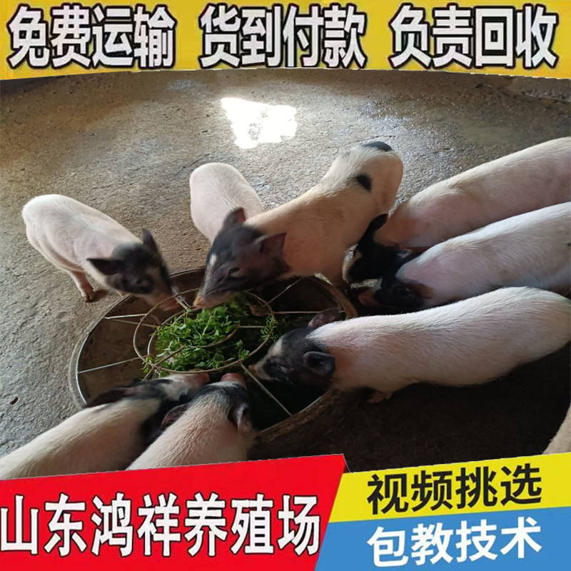 2d3b504d06484ec4baa122e33114b2