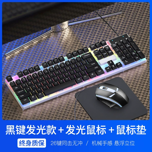Black and white double color combination [Rainbow Light] + 4D e-sports game mouse * Exclusive mouse pad