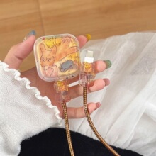 �O��40W��������o���m���iPhone17pormax/17�֙C������ҧ����15
